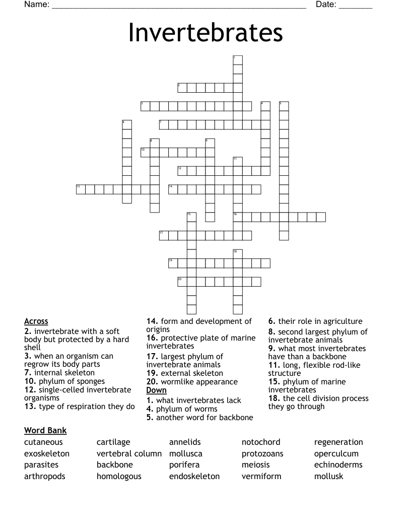 Invertebrates Crossword WordMint