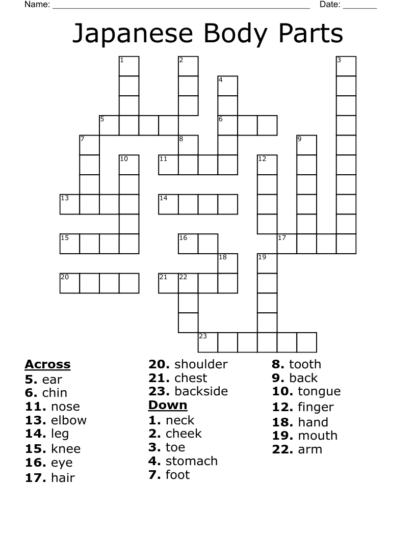 53 Back Of The Neck Crossword Daily Crossword Clue