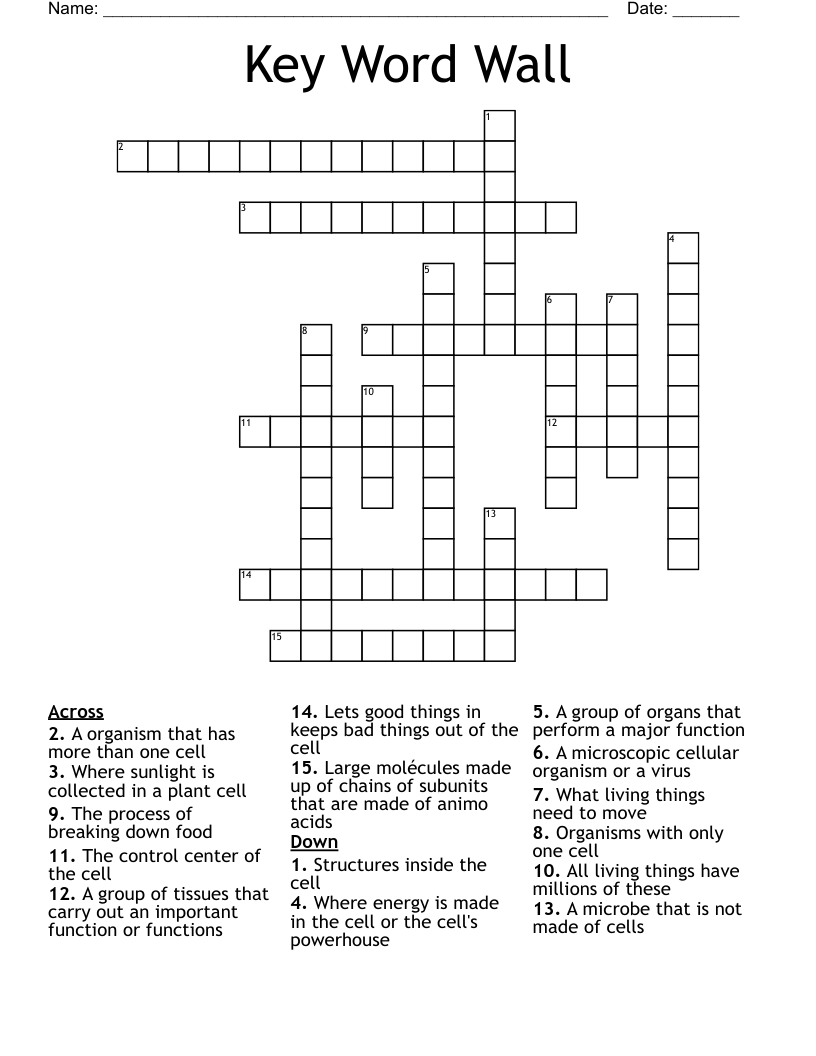 Key Word Wall Crossword WordMint
