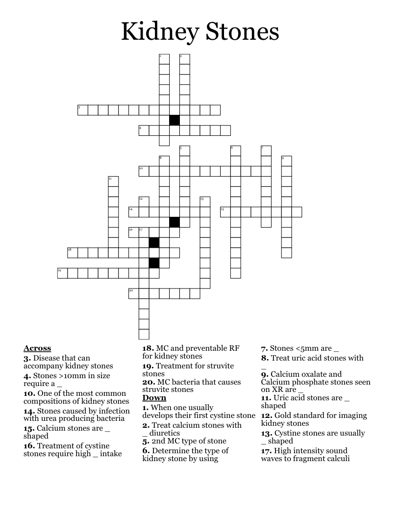Kidney Stones Crossword WordMint