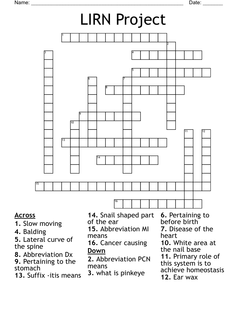 LIRN Project Crossword WordMint