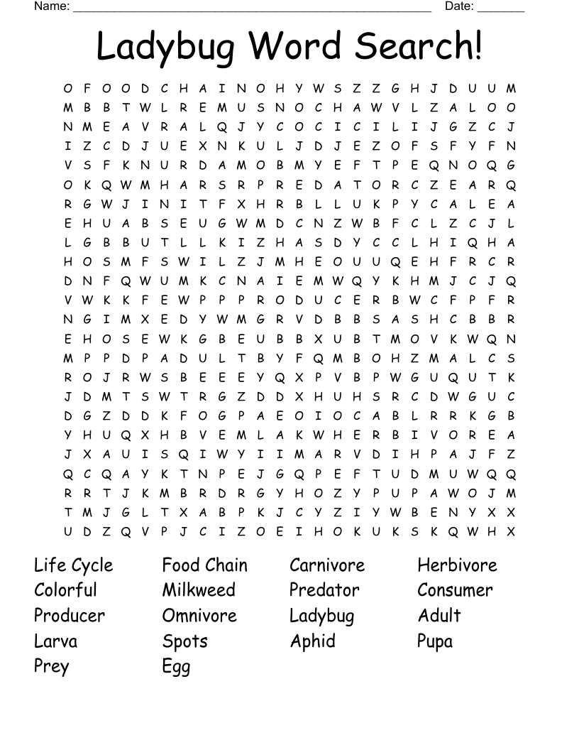 Miraculous Ladybug Word Search