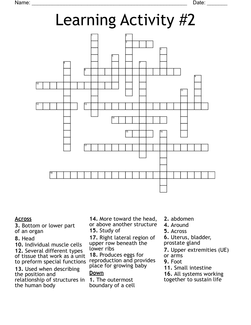 Learning Activity 2 Crossword WordMint