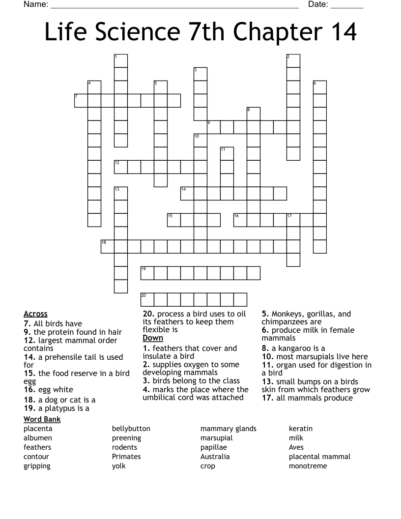 Life Science Chapter 14 Review Crossword WordMint
