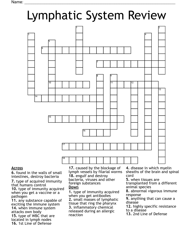 Human Immune System Word Search WordMint