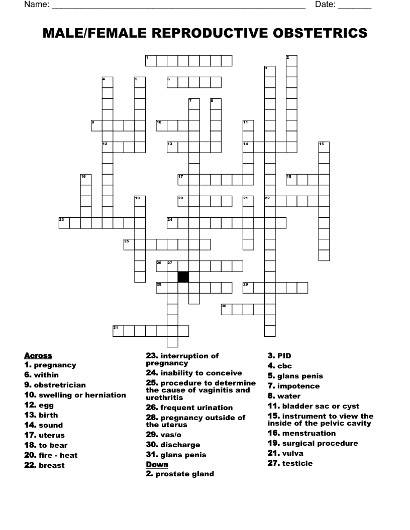 MALE/FEMALE REPRODUCTIVE OBSTETRICS Crossword WordMint