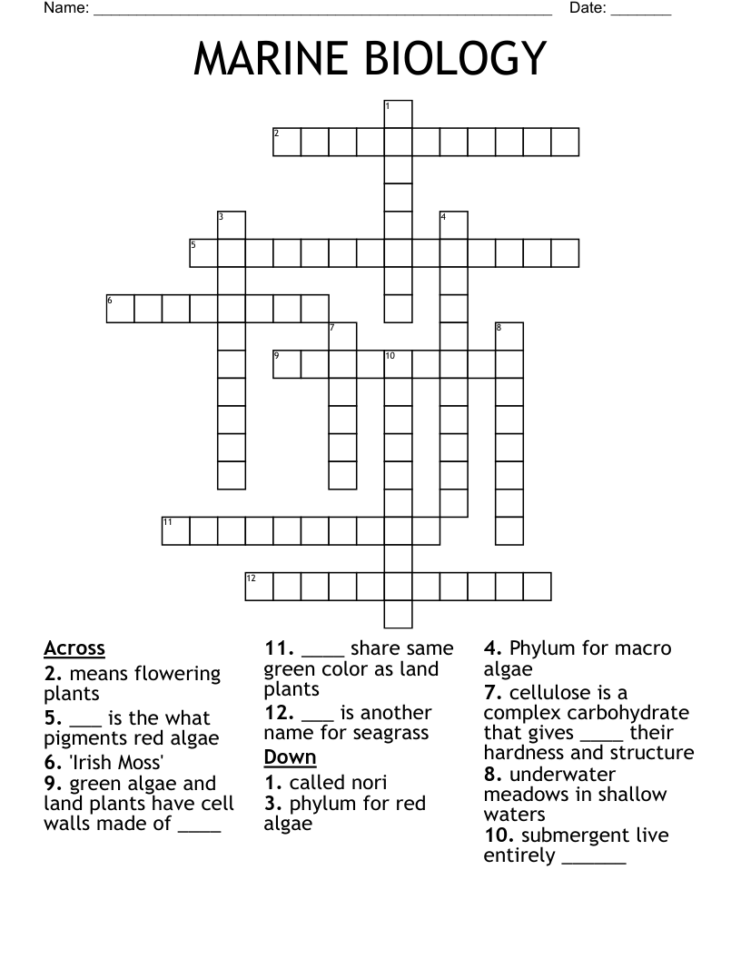 Marine Biology Crossword WordMint