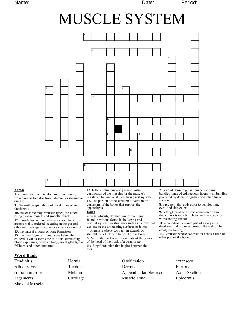 MUSCLE SYSTEM Crossword WordMint