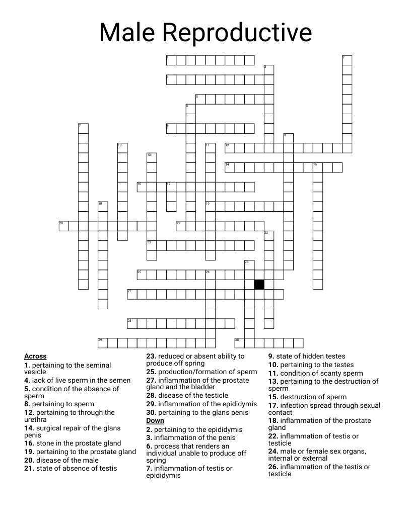 Male Reproductive Crossword WordMint