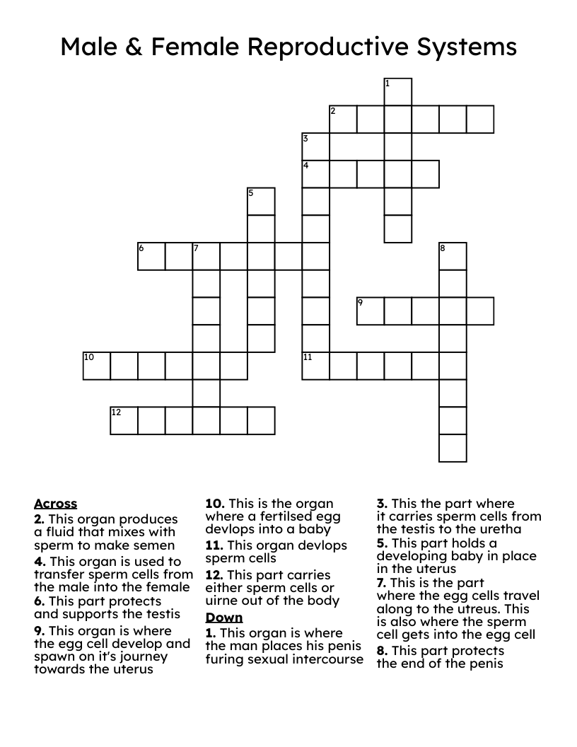 Male & Female Reproductive Systems Crossword WordMint