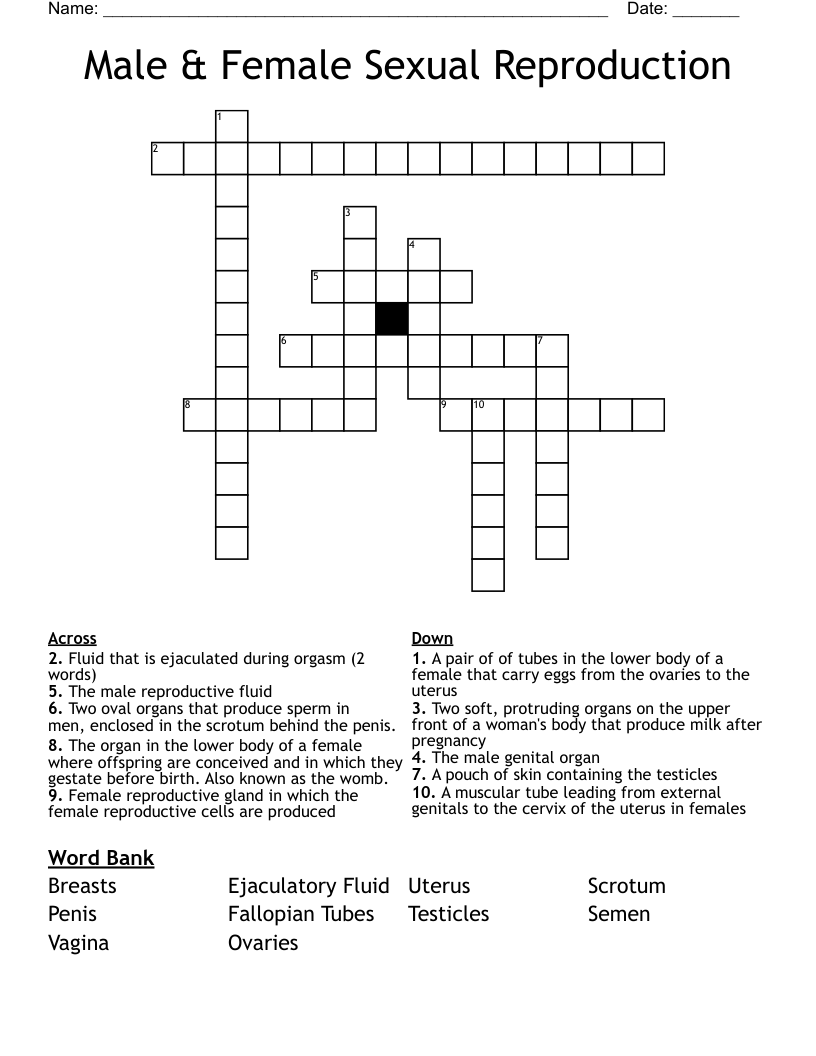 Male & Female Sexual Reproduction Crossword WordMint