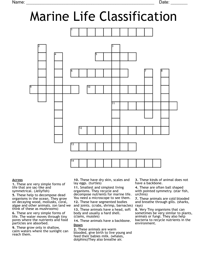 Marine Life Classification Crossword WordMint