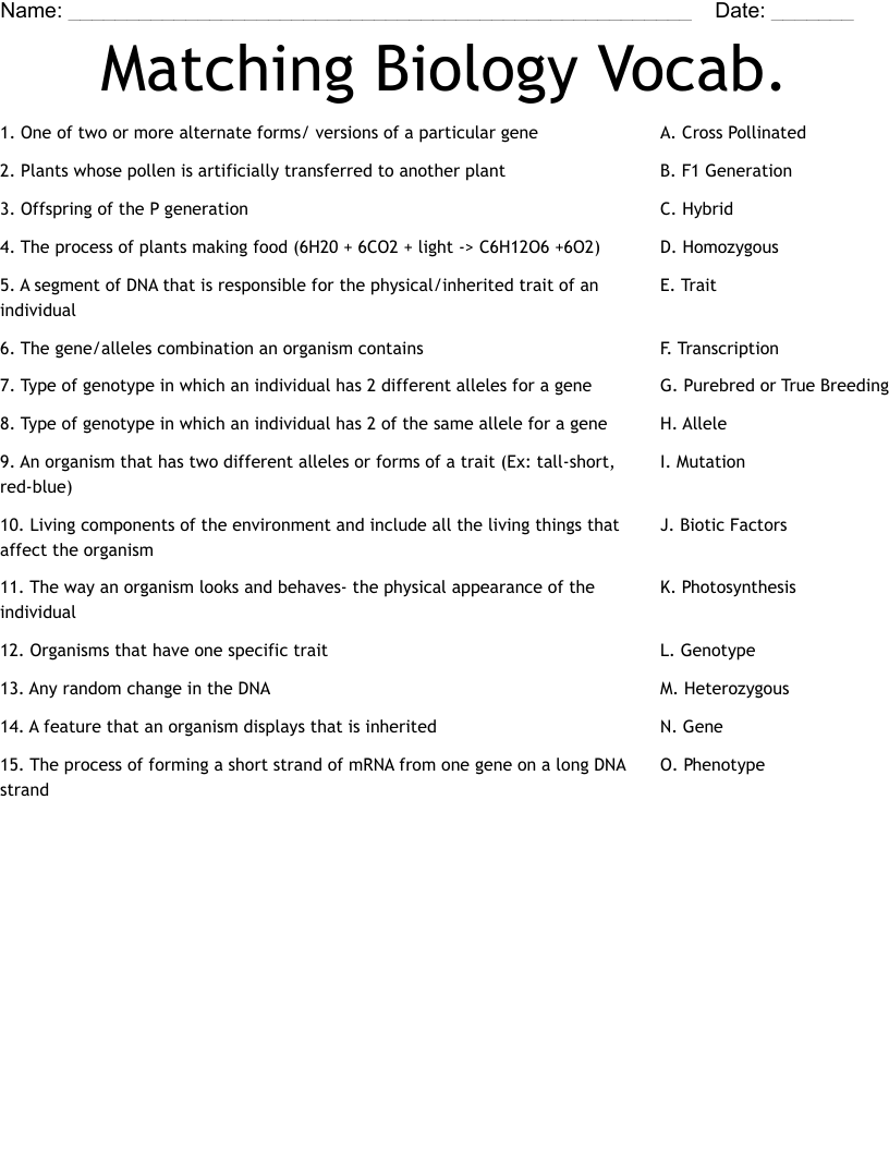 Matching Biology Vocab. Worksheet WordMint