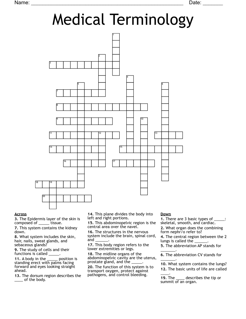 Medical Terminology Crossword WordMint
