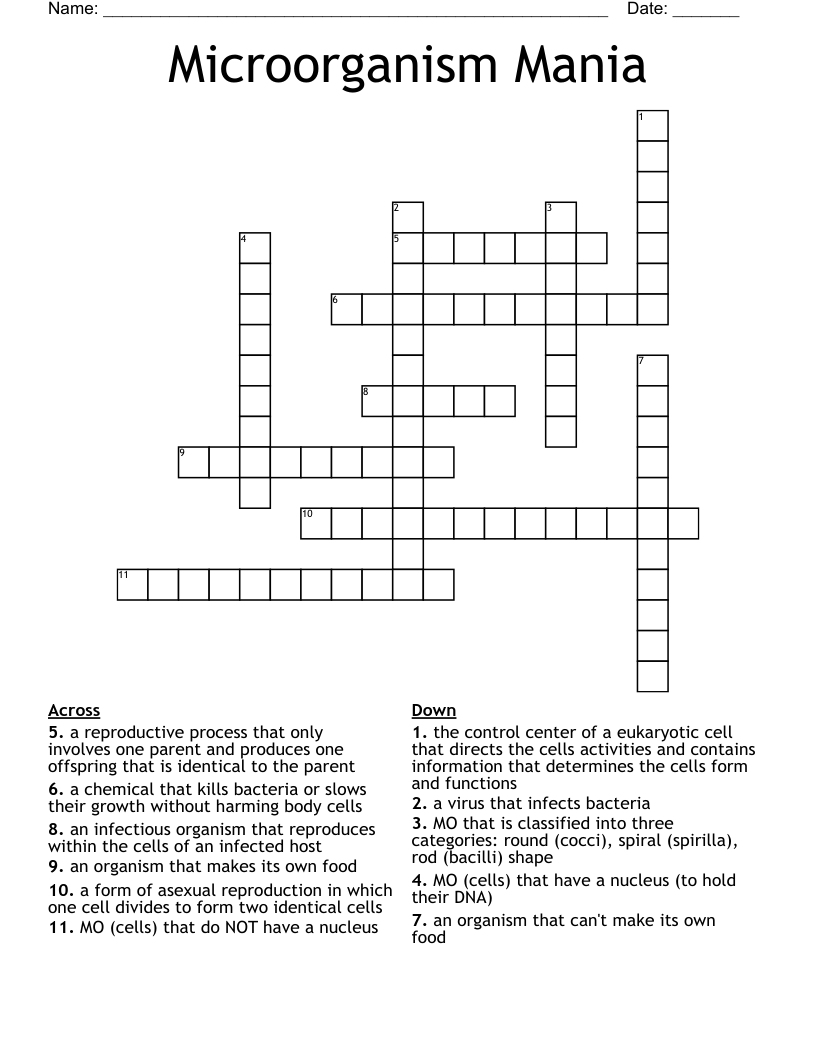 Bacteria Crossword WordMint