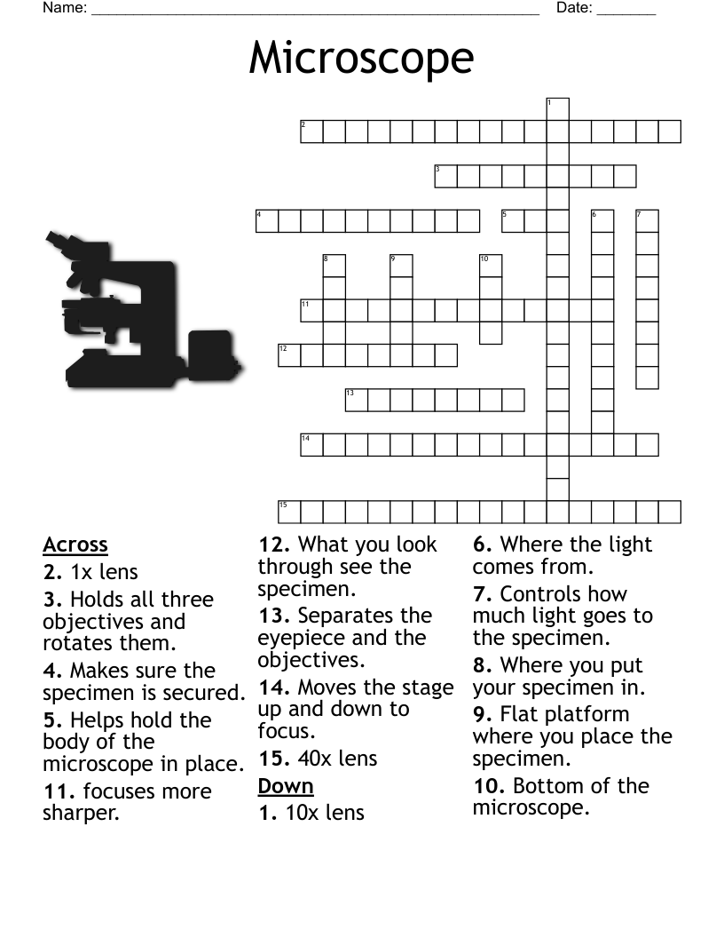 Parts of the Microscope Crossword WordMint