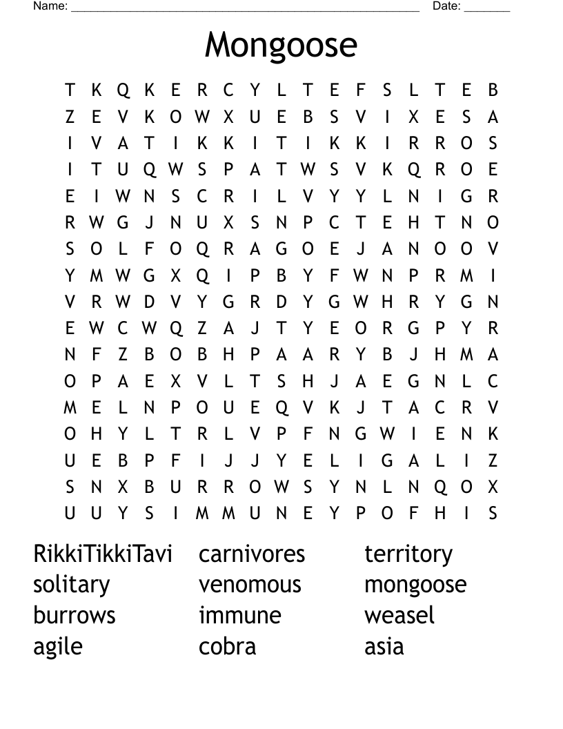 Mongoose Word Search WordMint