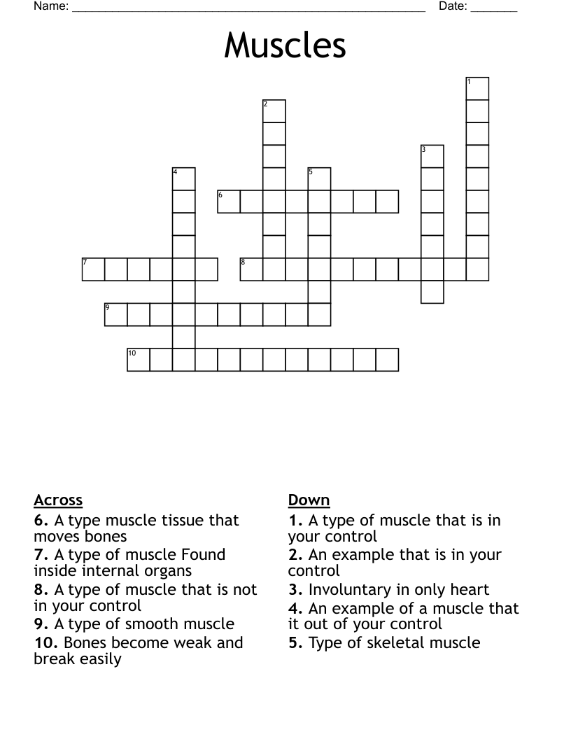 Muscles Crossword WordMint