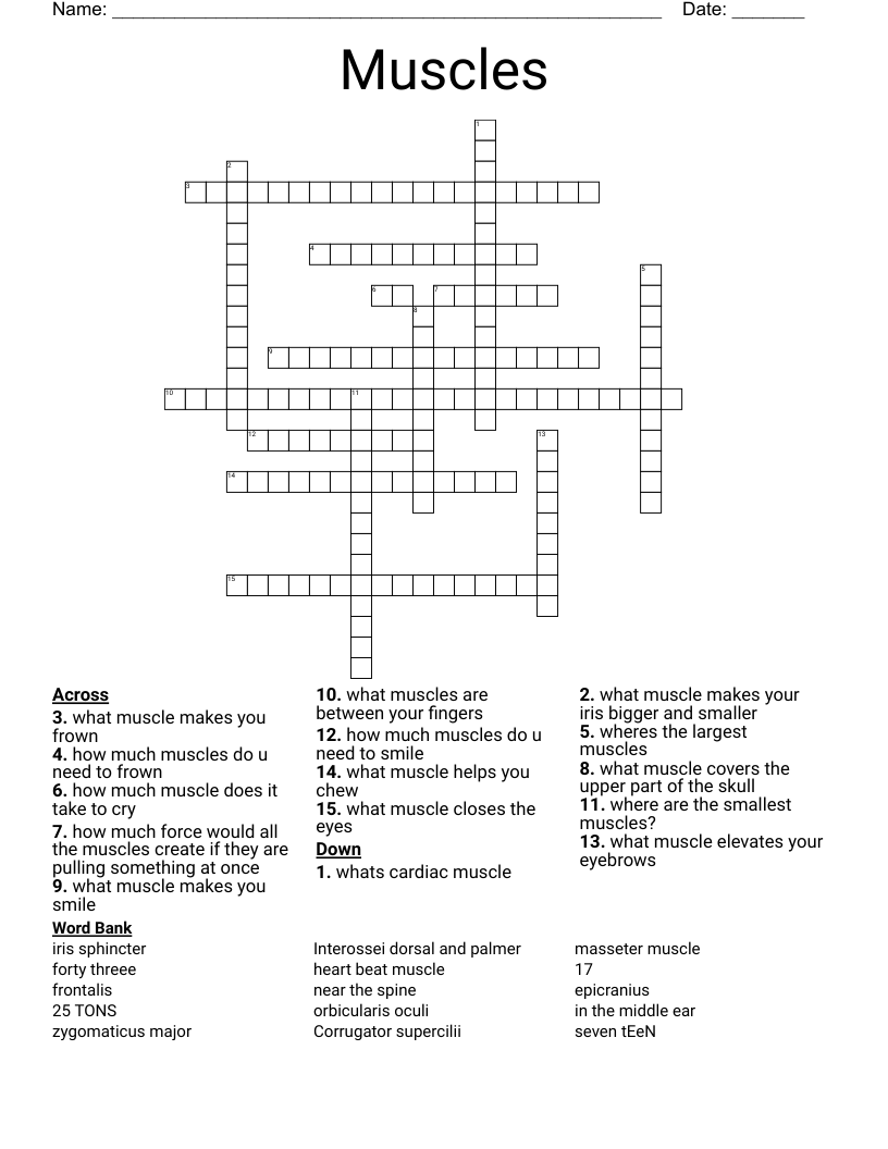 Muscles Crossword WordMint
