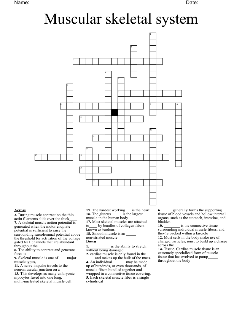 Muscular skeletal system Crossword WordMint