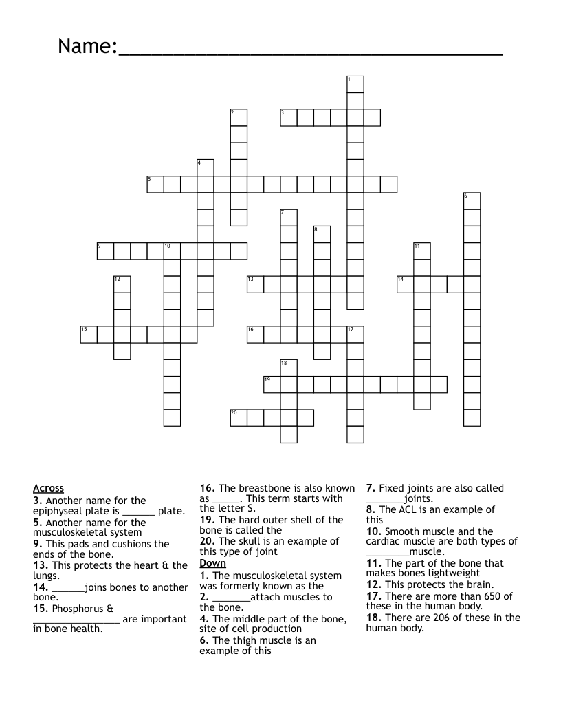 Name___________________________________ Crossword WordMint