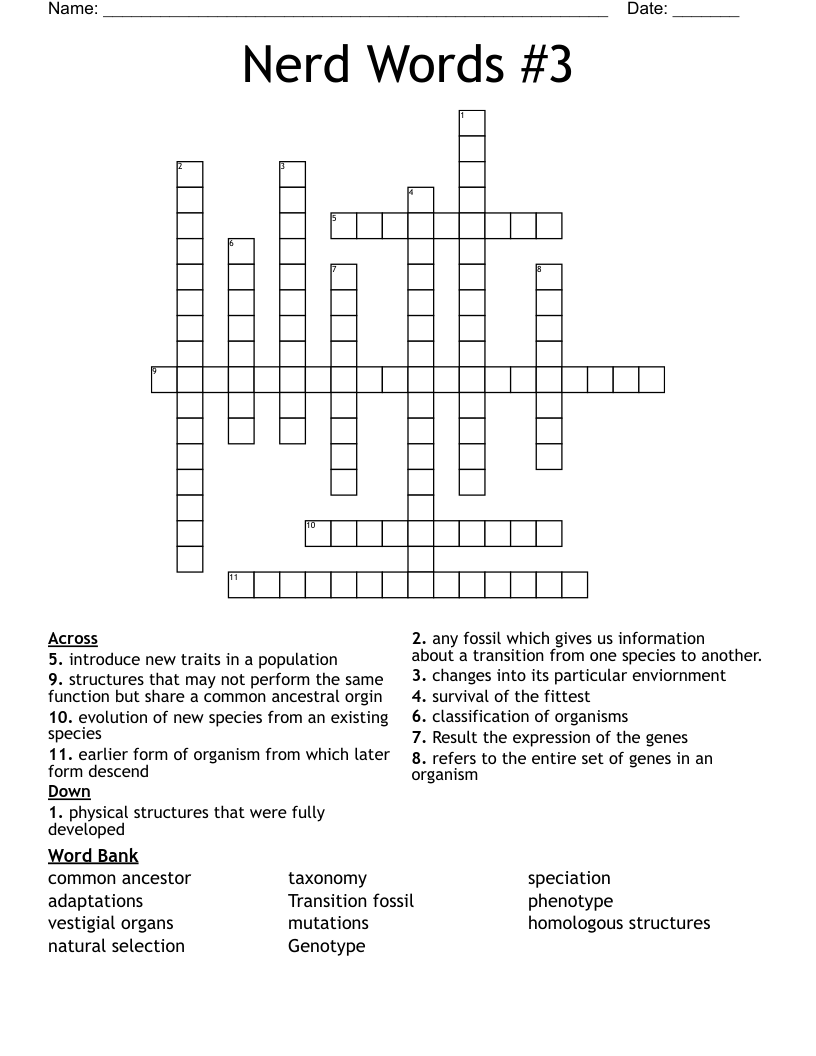Nerd Words 3 Crossword WordMint