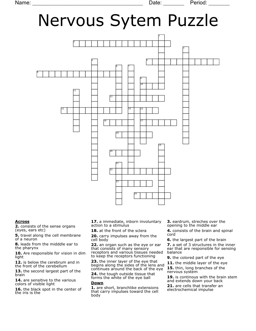 Five Senses Crossword WordMint
