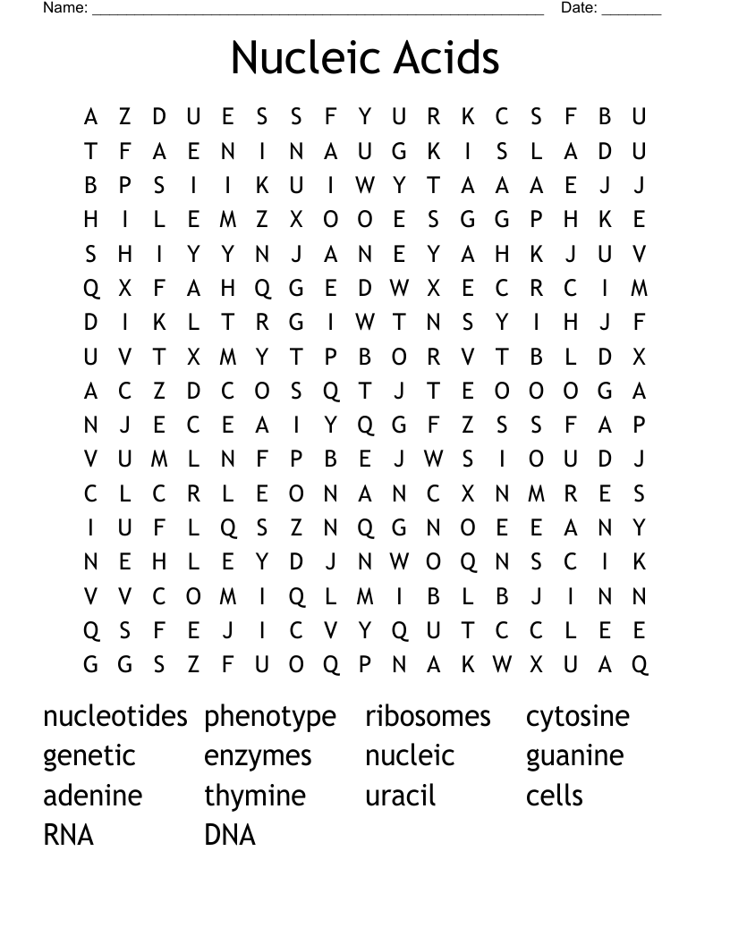 Nucleic Acids Word Search WordMint