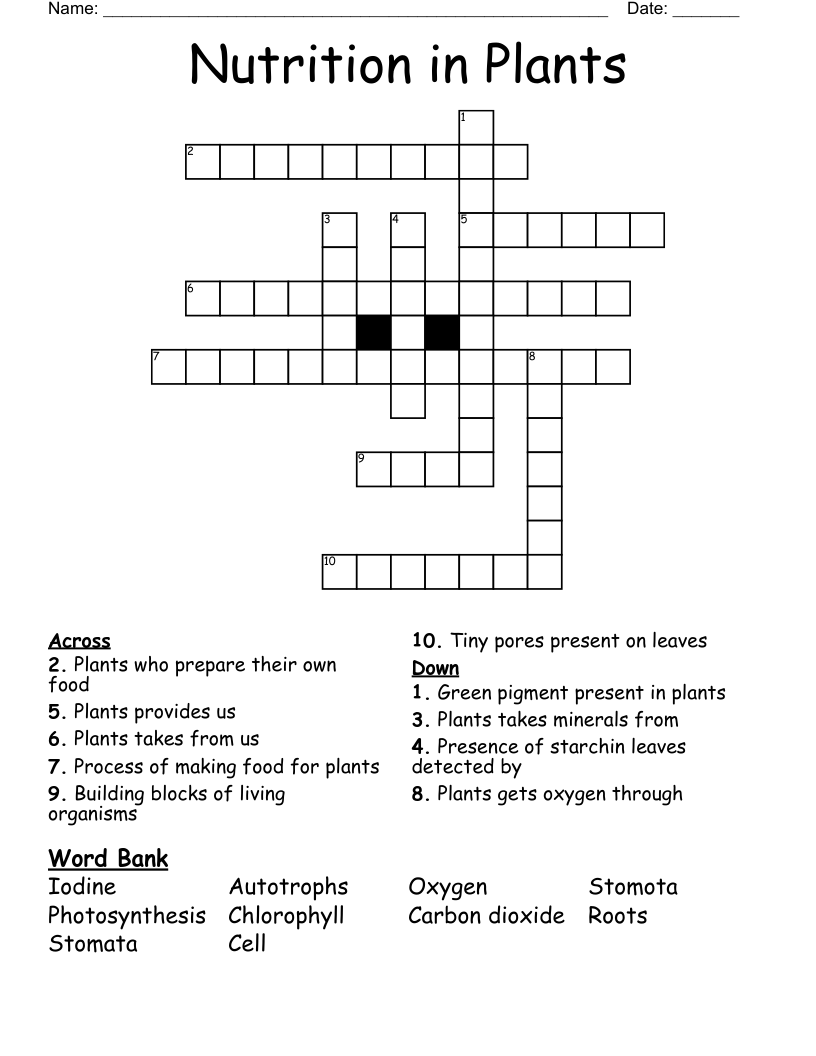 Nutrition in Plants Crossword WordMint