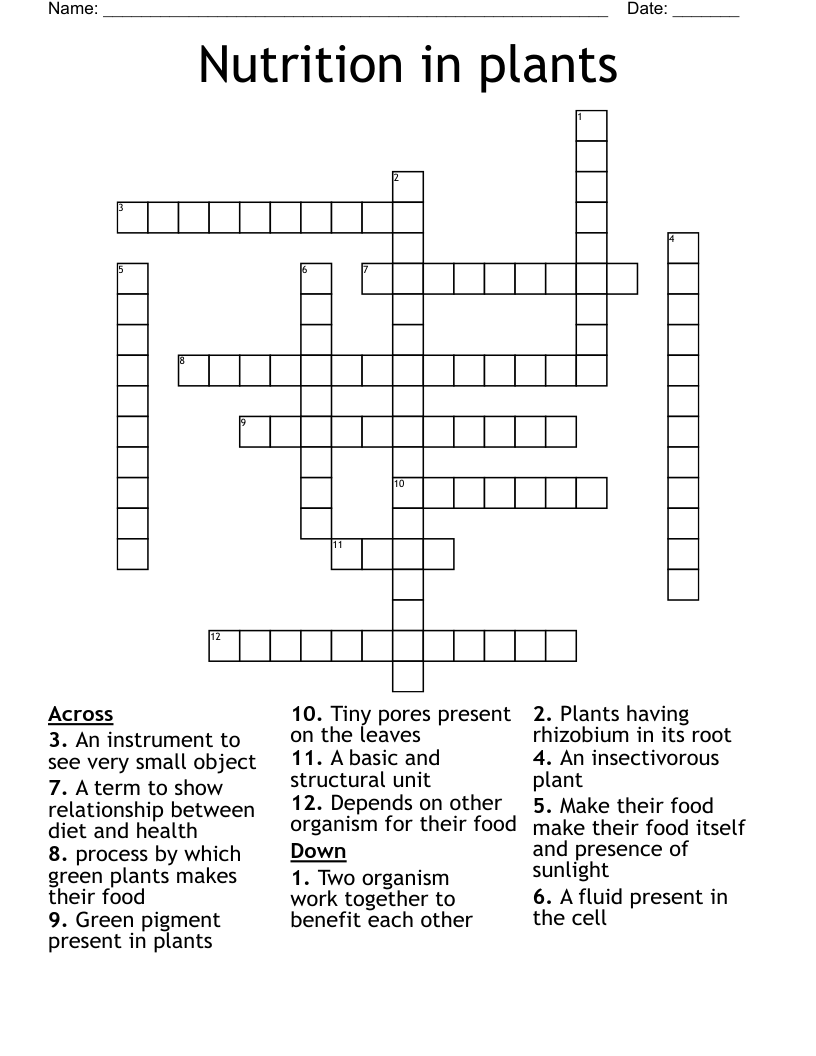 Nutrition in plants Crossword WordMint