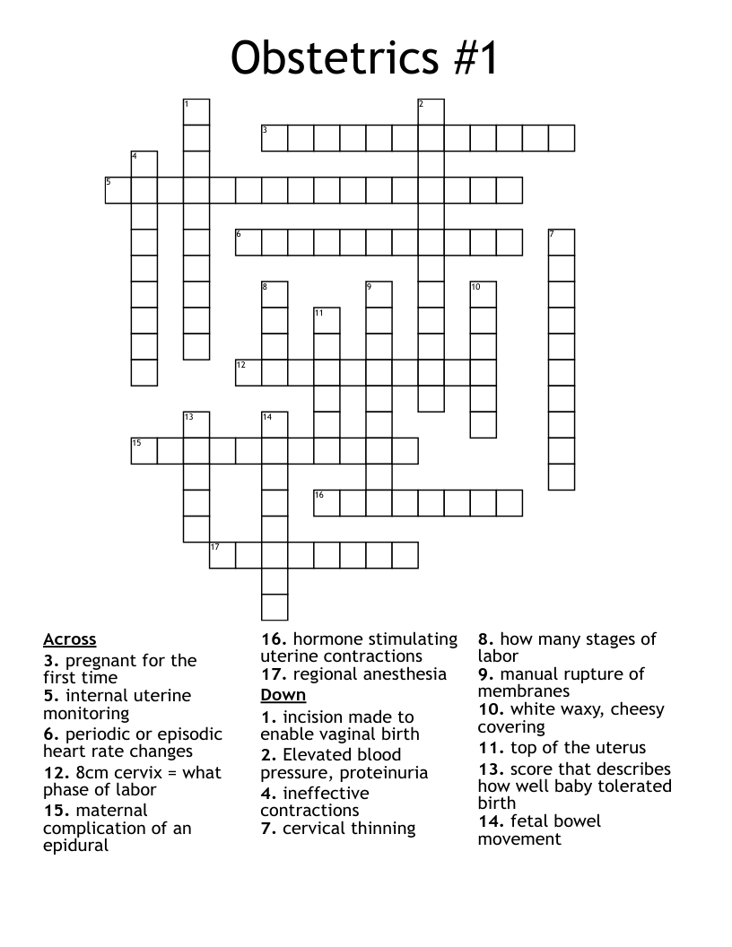 Obstetrics 1 Crossword WordMint