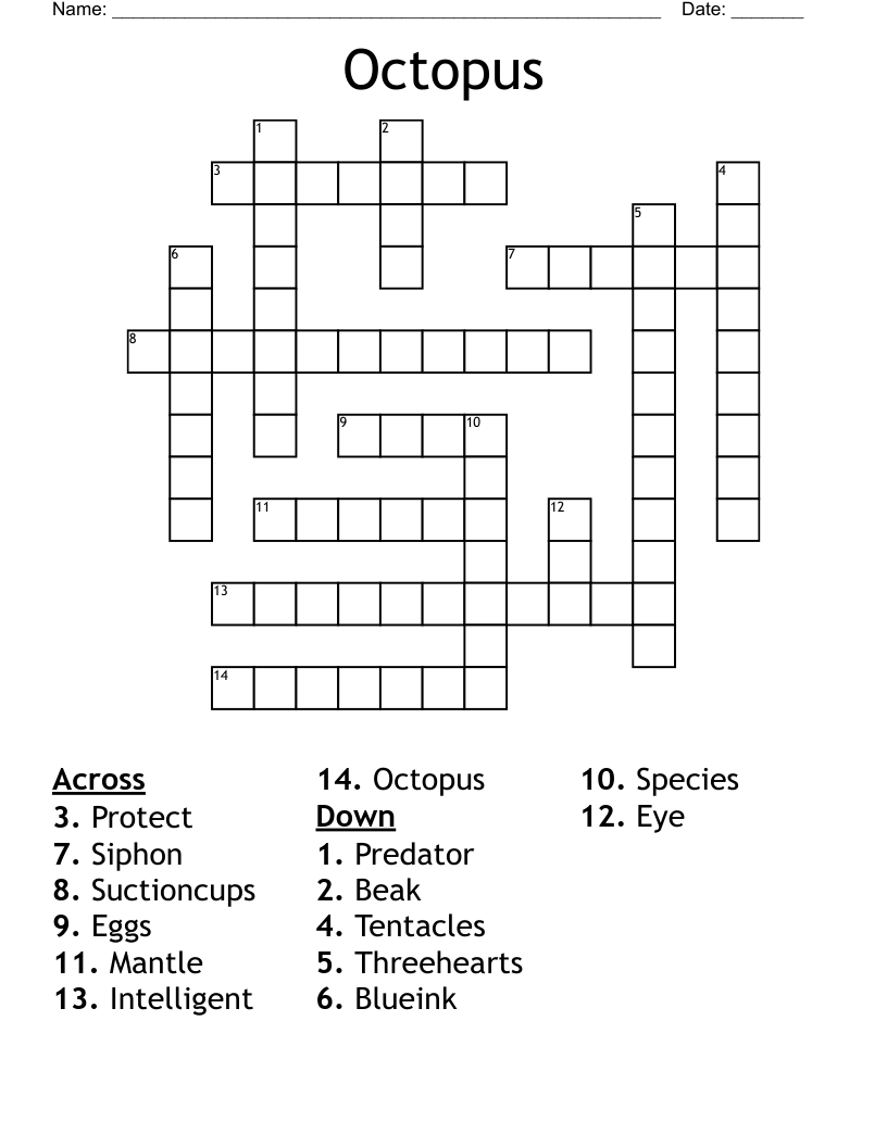 Octopus Word Search! WordMint