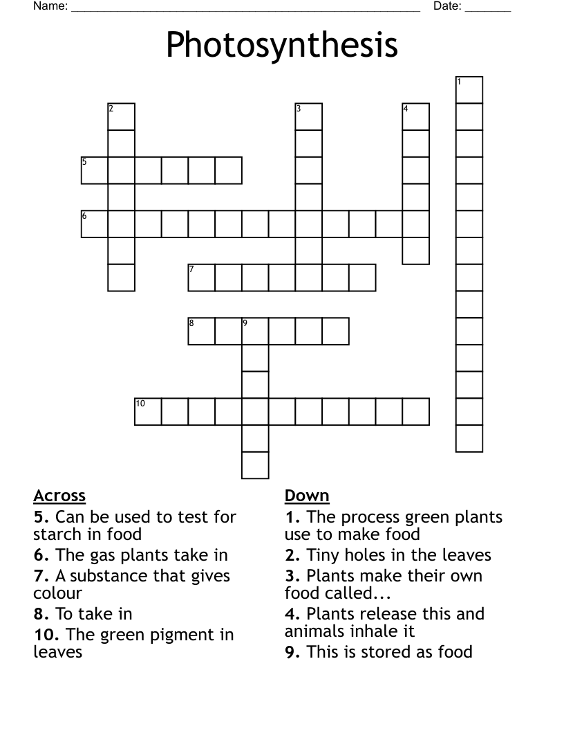 Photosynthesis Crossword - WordMint