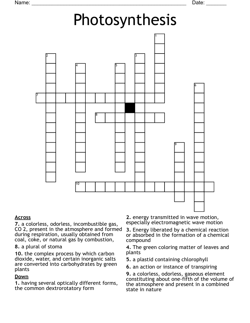 Photosynthesis Vocabulary Crossword WordMint