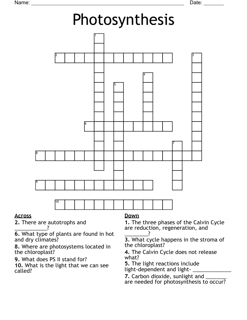 Photosynthesis Crossword - WordMint