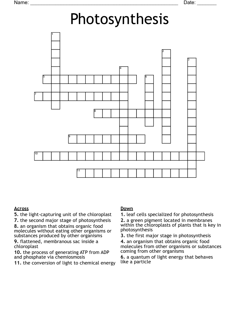 Photosynthesis Crossword - WordMint