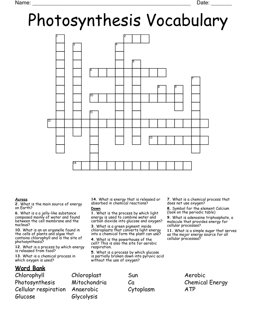 Photosynthesis Vocabulary Crossword WordMint
