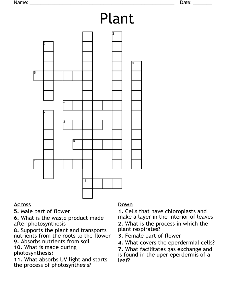 Plant Crossword WordMint