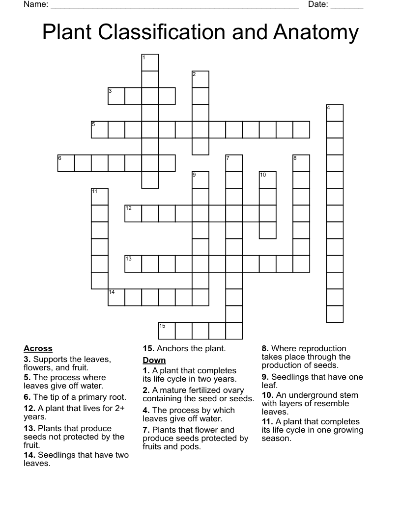 Plant Classification and Anatomy Crossword WordMint