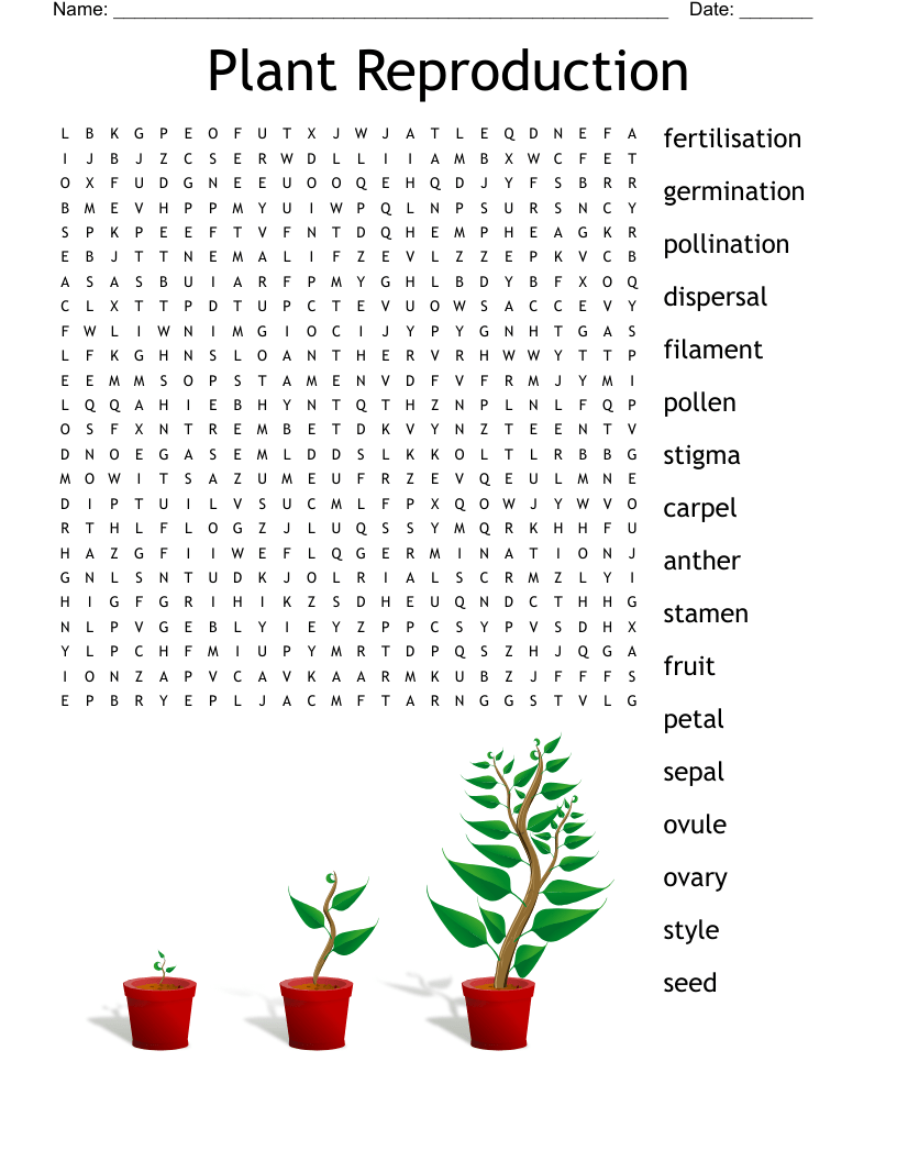 Flowering Plants Reproduction Word Search WordMint