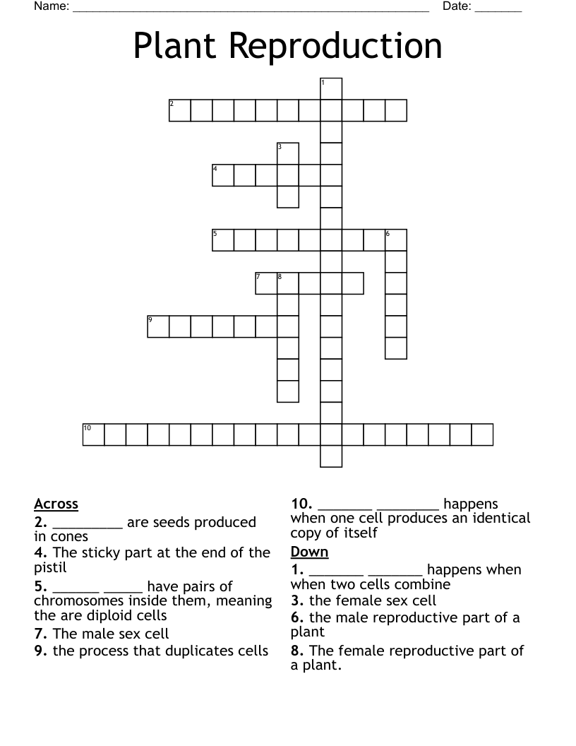 Plant Reproduction Crossword WordMint
