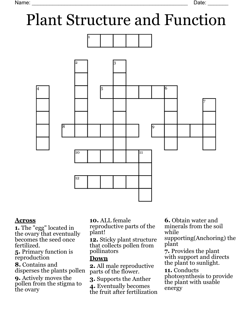 Plant Reproduction Crossword WordMint