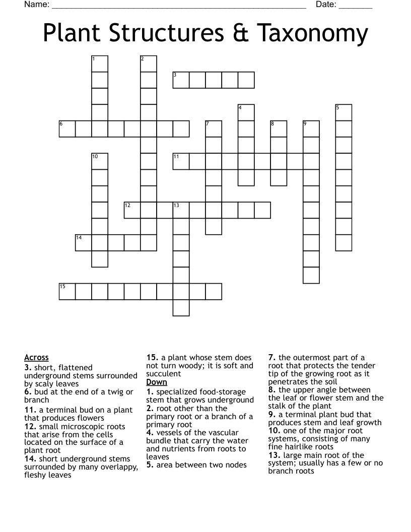 Plant Structures & Taxonomy Crossword WordMint