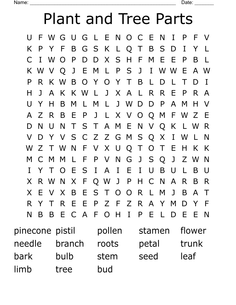 Plant and Tree Parts Word Search WordMint