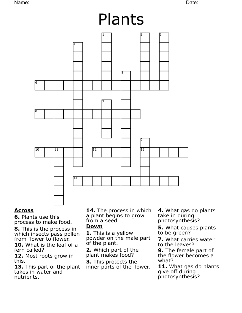 Plants Crossword WordMint