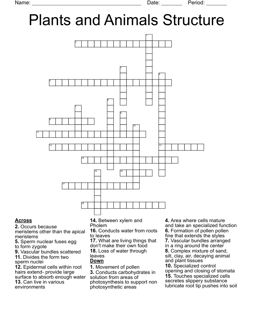 Plants and Animals Structure Crossword WordMint