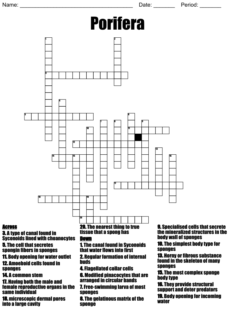50 Near Thing Crossword Clue Daily Crossword Clue
