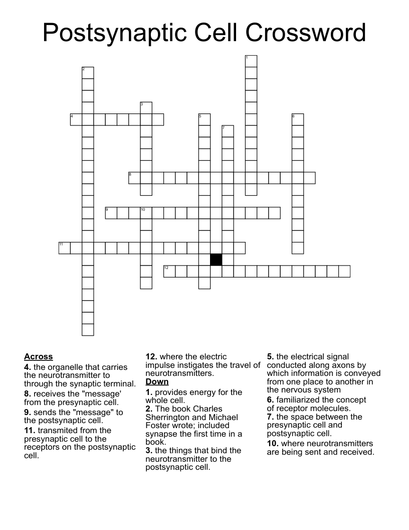 Postsynaptic Cell Crossword WordMint