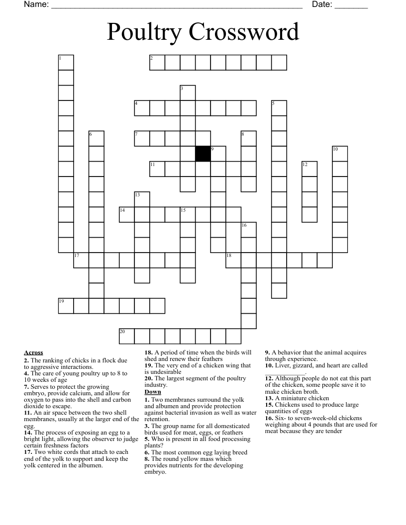 Lays An Egg Crossword