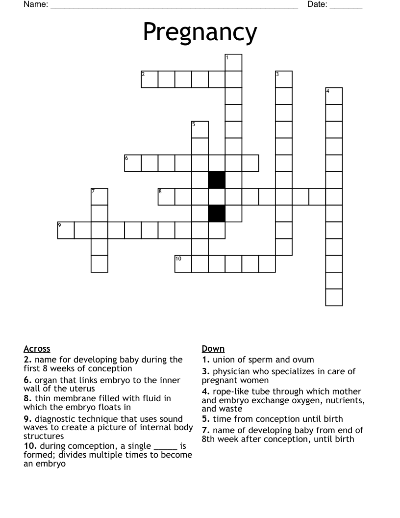 Pregnancy Crossword WordMint